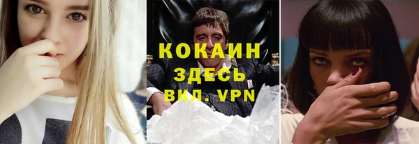 твердый Аркадак