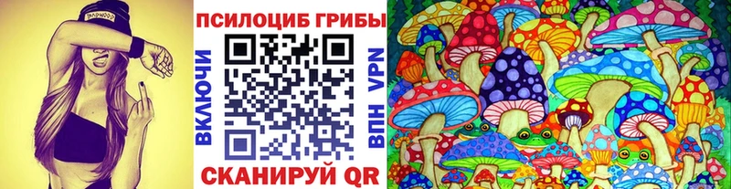 Купить закладки  Чита  Псилоцибиновые грибы Psilocybe 